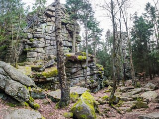 Casa de vacaciones Schierke Entorno 18