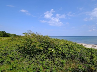 Casa per le vacanze Gedesby  29