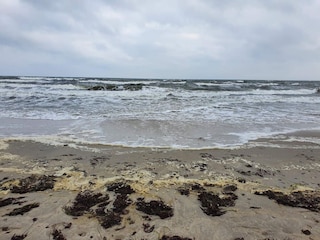 Ferienhaus Gedesby  8