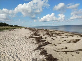 Ferienhaus Gedesby  22