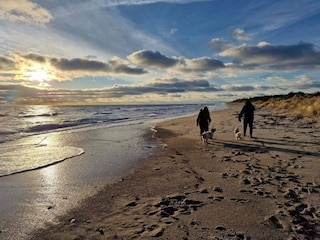 Ferienhaus Gedesby  12