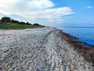 Ferienhaus Gedesby  17