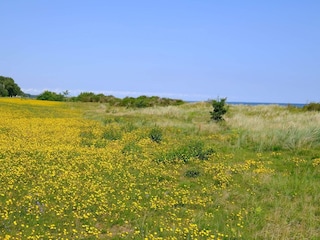 Ferienhaus Gedesby  39