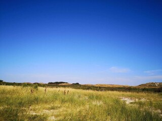 Casa per le vacanze Sønderho Sogn  31