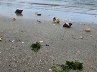 Vakantiehuis Sønderho Sogn  10