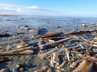 Ferienhaus Sønderho Sogn  40
