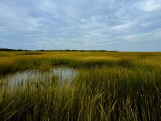 Holiday house Sønderho Sogn  40