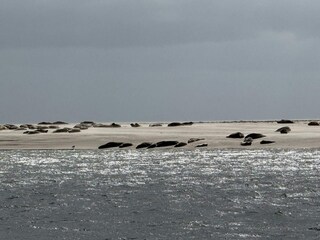 Vakantiehuis Sønderho Sogn  23