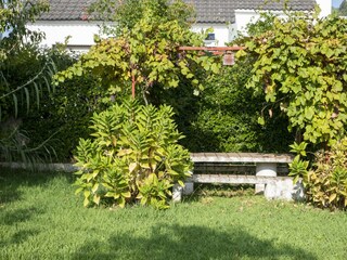 Vakantiehuis Sanxenxo Buitenaudio-opname 8
