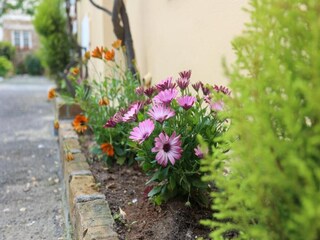 Appartamento Benitses Ambiente 10