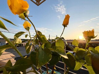 Appartamento Benitses Ambiente 29