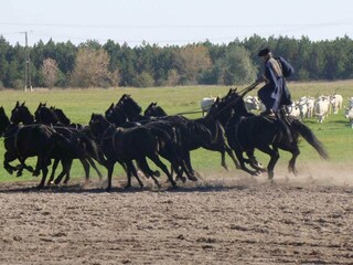 Vakantiehuis Kisapáti Omgeving 32