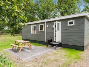 Vrijstaand Chalet nabij Den Ham met tuin en ruimte