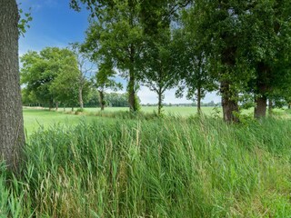 Vakantiehuis Den Ham Omgeving 26