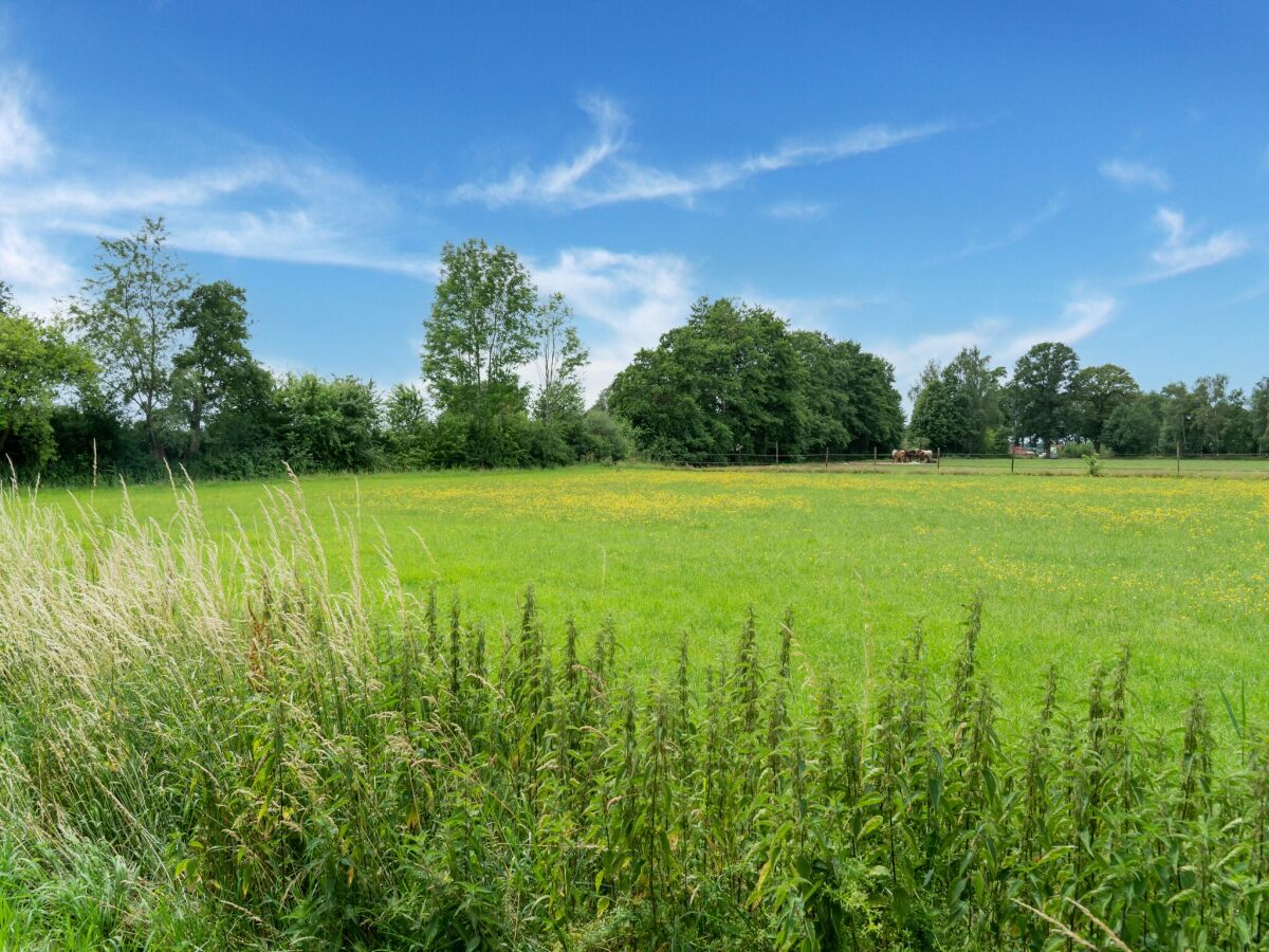 Ferienhaus Den Ham Außenaufnahme 7