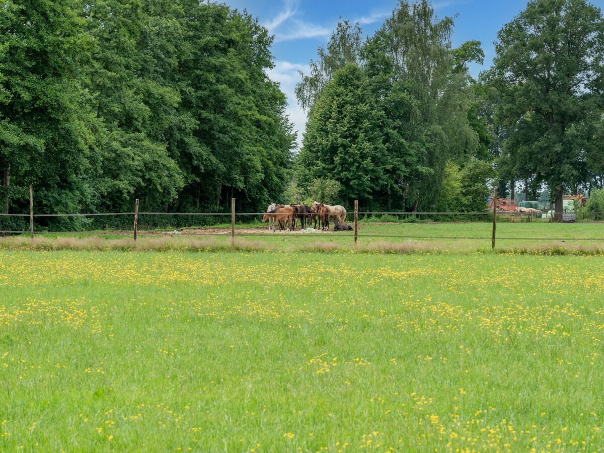 Ferienhaus Den Ham Außenaufnahme 8