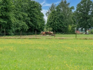 Vakantiehuis Den Ham Buitenaudio-opname 6