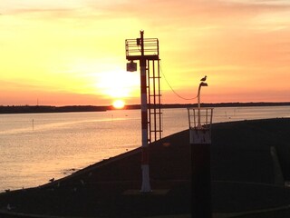 Vakantiehuis De Koog Omgeving 25