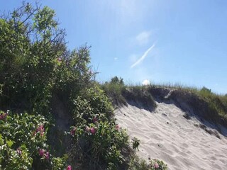 Vakantiehuis Dronningmølle  19