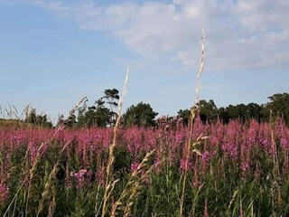 Casa de vacaciones Dronningmølle  40