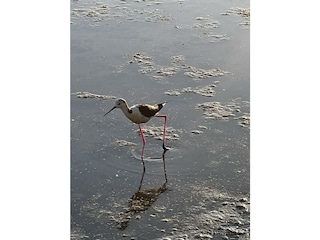 Ferienwohnung Calpe Umgebung 38