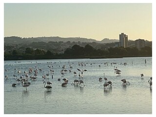 Apartamento de vacaciones Calpe Entorno 42