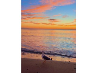 Appartement de vacances Calpe Équipement 29