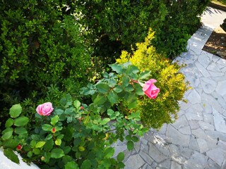 Casa per le vacanze La Croix-Valmer Registrazione all'aperto 8