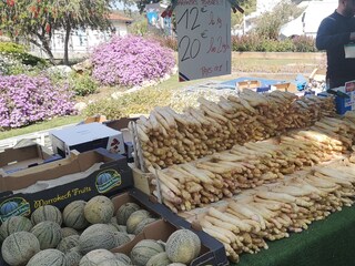 Casa per le vacanze La Croix-Valmer Ambiente 22