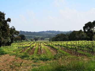Casa per le vacanze La Croix-Valmer Ambiente 28