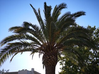 Casa per le vacanze La Croix-Valmer Ambiente 32