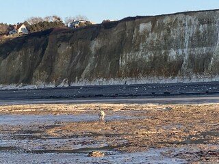 Casa per le vacanze Hautot-sur-Mer Ambiente 19
