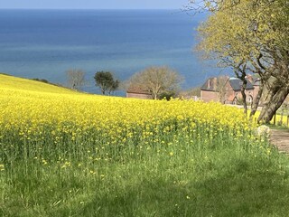 Vakantiehuis Hautot-sur-Mer Omgeving 24