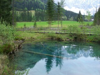 Appartamento per vacanze Feistritz im Rosental  35