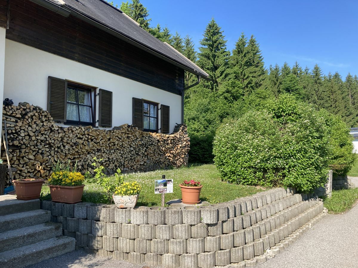 Ferienwohnung Waldblick Am Draustausee Feistritz Im Rosental Familie Hans Bauer