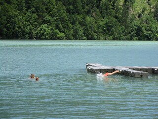 Sprung in den Draustausee