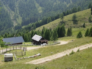 schöne Wanderung bei Goldeck