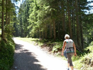 Appartamento per vacanze Feistritz im Rosental  36