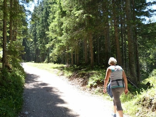 Weg zur Märchenwiese