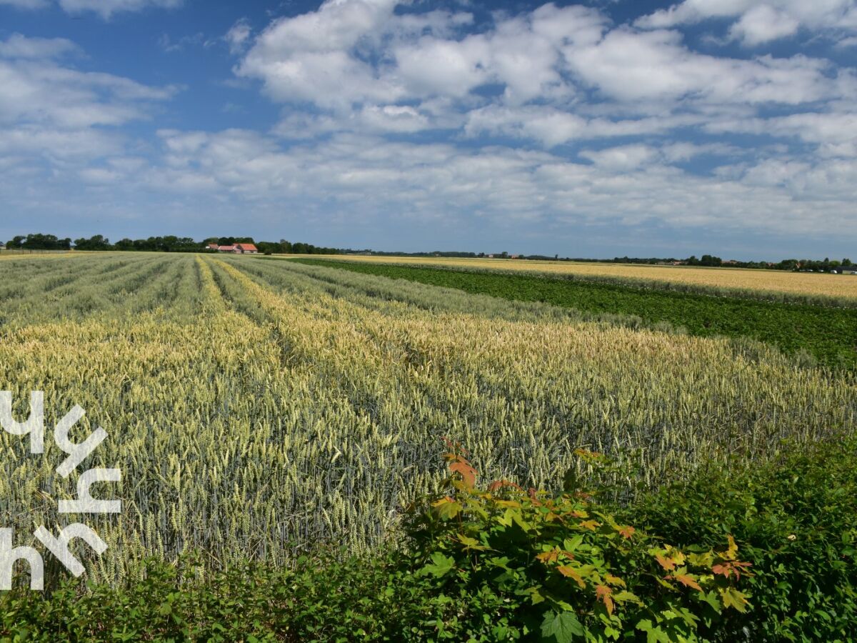 Vakantiehuis Meliskerke Buitenaudio-opname 1