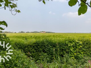 Ferienhaus Meliskerke Umgebung 18