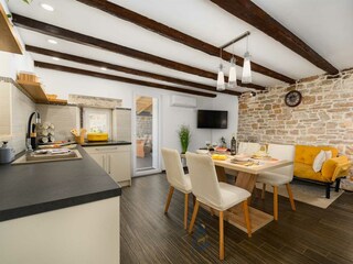 Villa Tinjan Caratteristiche 29