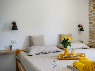 Villa Tinjan Caratteristiche 40