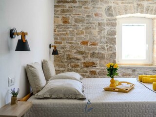 Villa Tinjan Caratteristiche 39