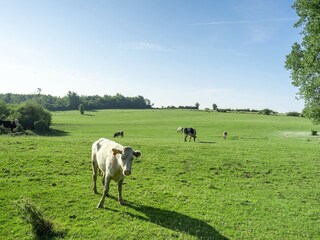 Casa per le vacanze Cerfontaine Ambiente 35
