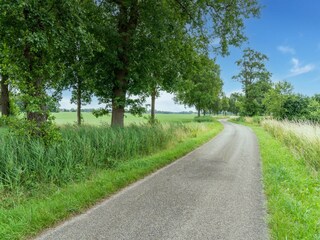 Vakantiehuis Den Ham Omgeving 22