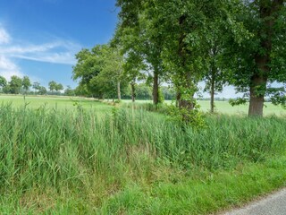 Vakantiehuis Den Ham Omgeving 23