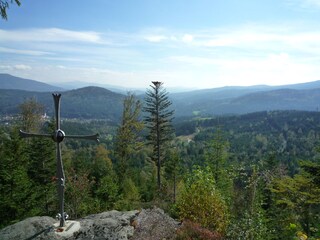 Blick übers Waldmeer