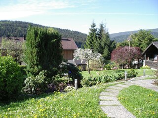 Blick in den Garten