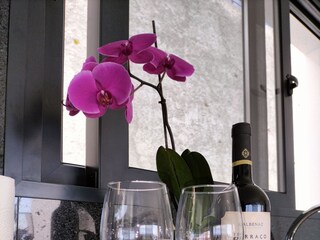 Vakantiehuis Fajã da Ovelha Kenmerken 17